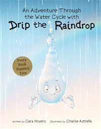 Drip the Raindrop