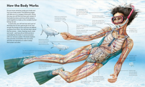 How It Works: The Body