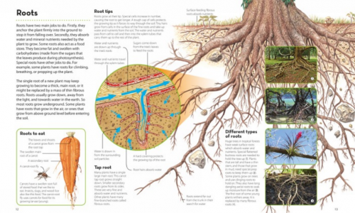 How It Works: Plants