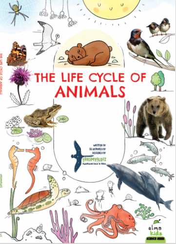 The Life Cycle of Animals