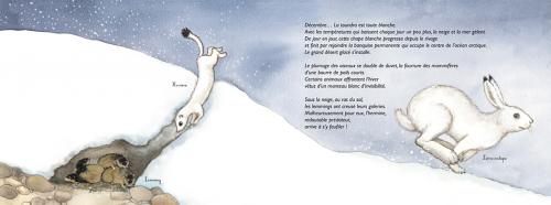 NORTH POLE OR SOUTH POLE?