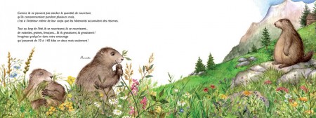 LIKE MARMOTS – HIBERNATION