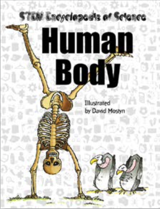 Human Body