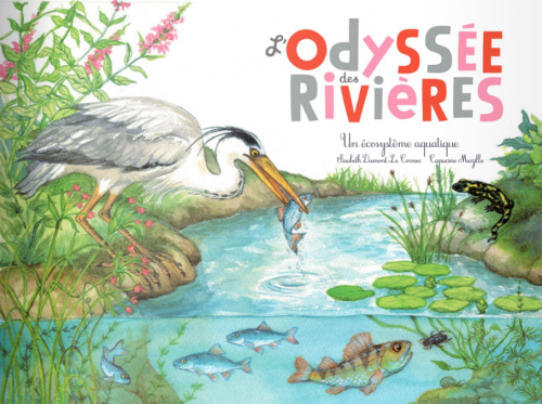 THE RIVERS ODYSSEY AN AQUATIC ECOSYSTEM