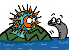 Puff Up, Little Porcupine Fish!