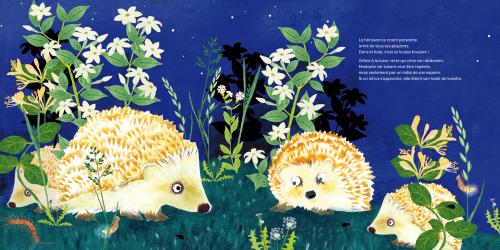 BY NIGHT NOCTURNAL ANIMALS CYCLE OF THE DAY